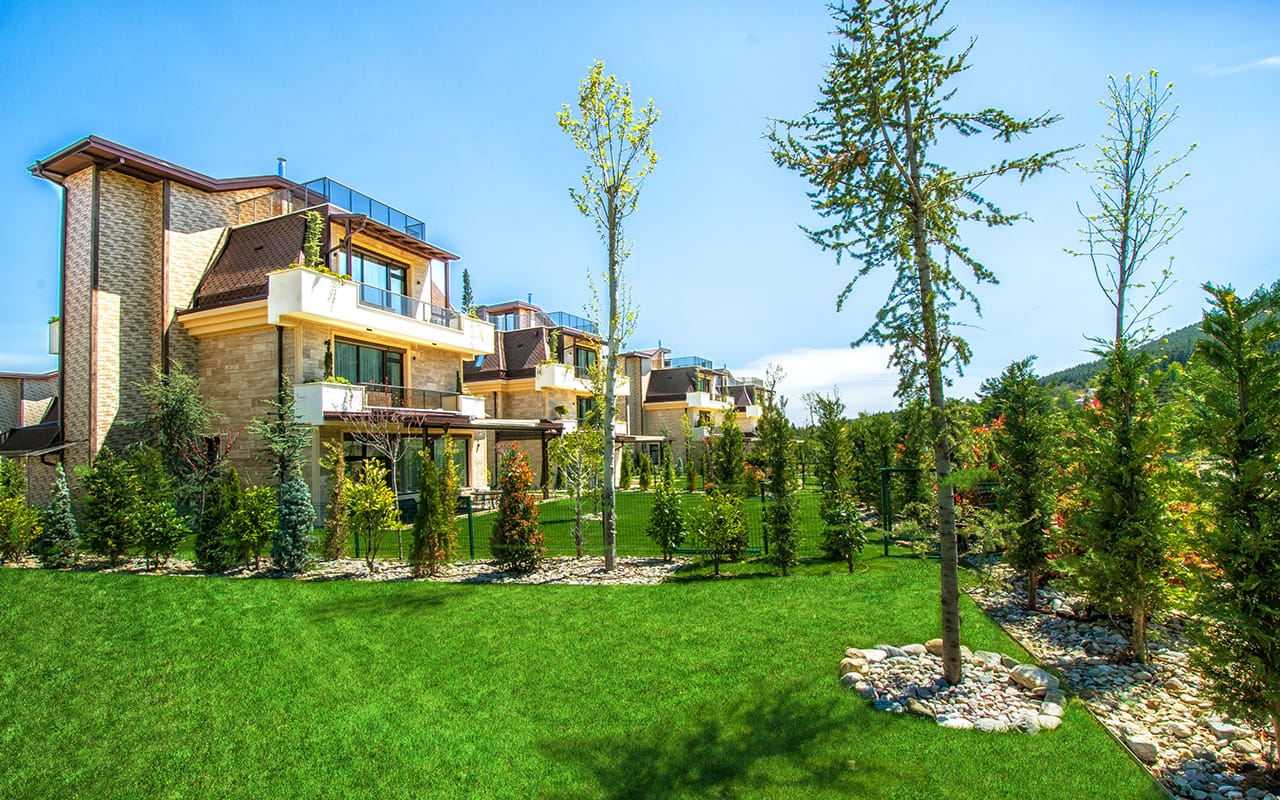 Maxi Sequoia – the Secret Eden of the Growing City